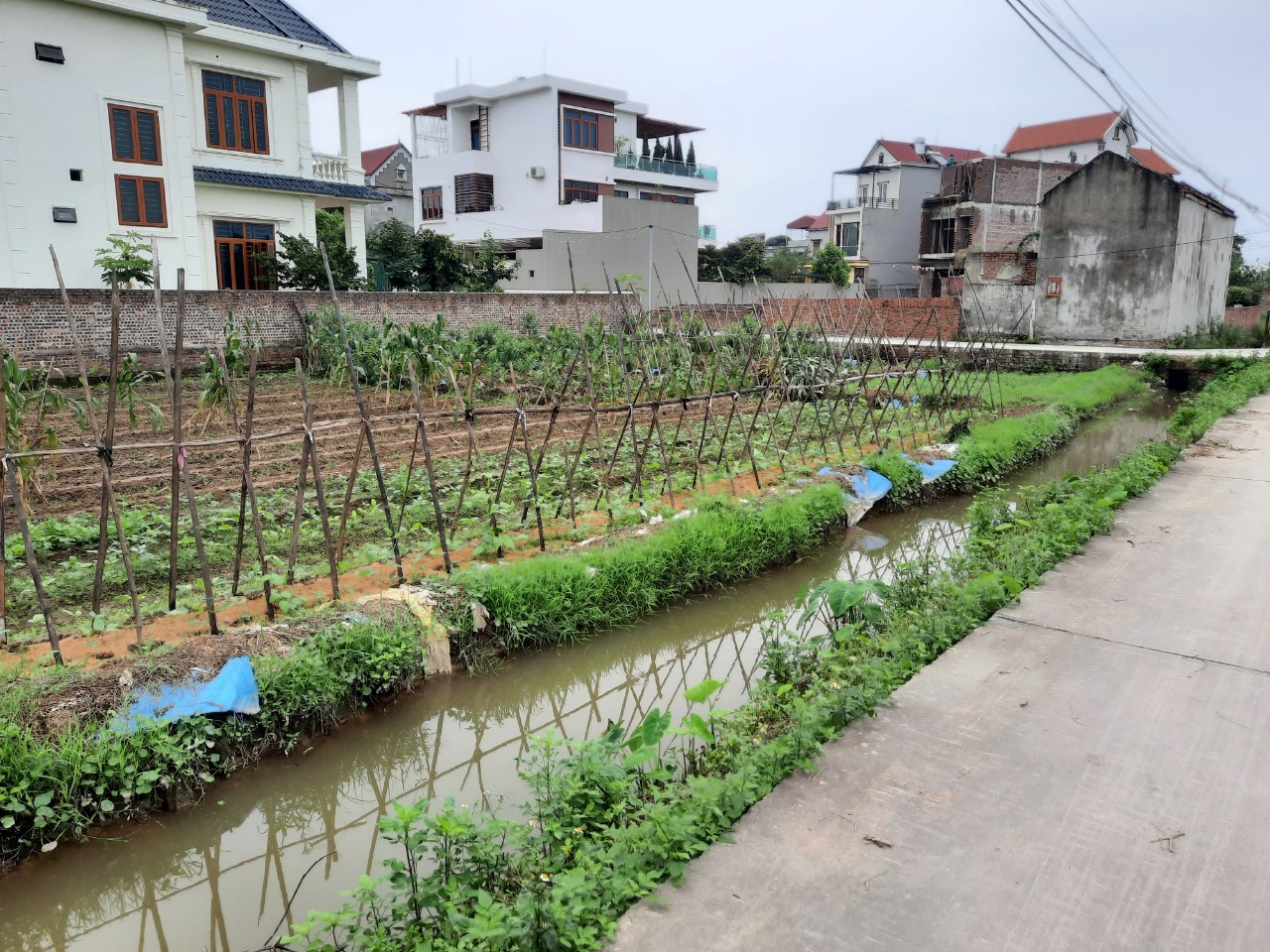 Bán nhanh lô đất thổ cư tại huyện Quế Võ