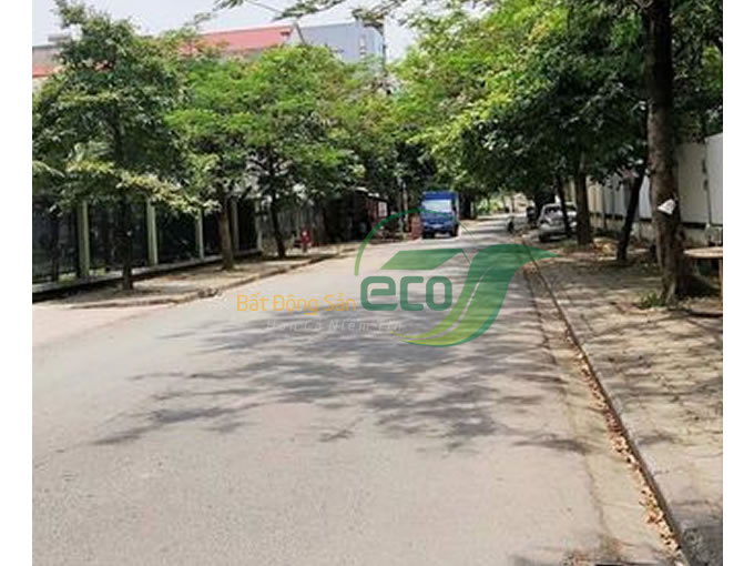 Bán đất phố Thạch Bàn, Cổ Linh, Long Biên – diện tích 120m2, mặt tiền 10m, giá chào 11.x tỷ, (có thương lượng)