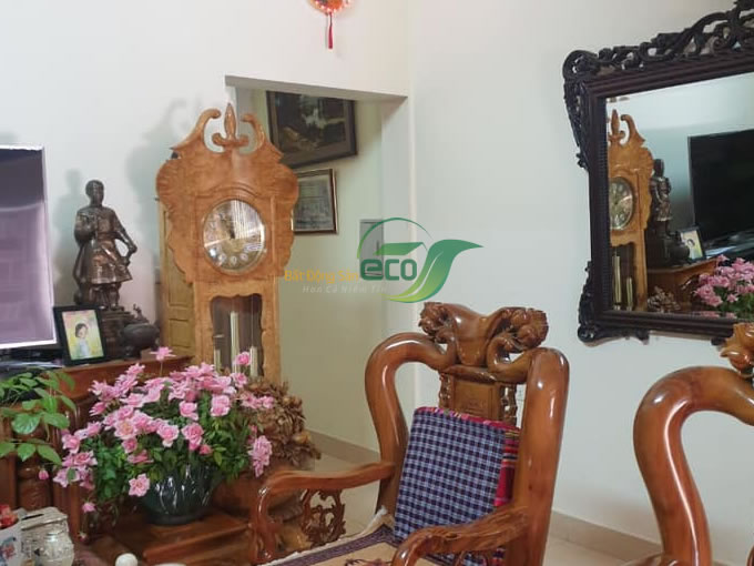 Bán nhà riêng tại Vũ Hữu, Thanh Xuân diện tích 50m2, số tầng 5, mặt tiền 4.33m, giá chào 8.2 tỷ