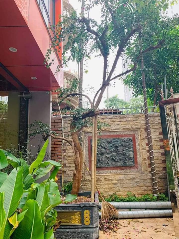 CC CẦN BÁN BIỆT THỰ CAO CẤP MỄ TRÌ HẠ, DT 181M2 - MẶT TIỀN 11M - GIÁ 39.5 TỶ